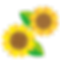 13.png