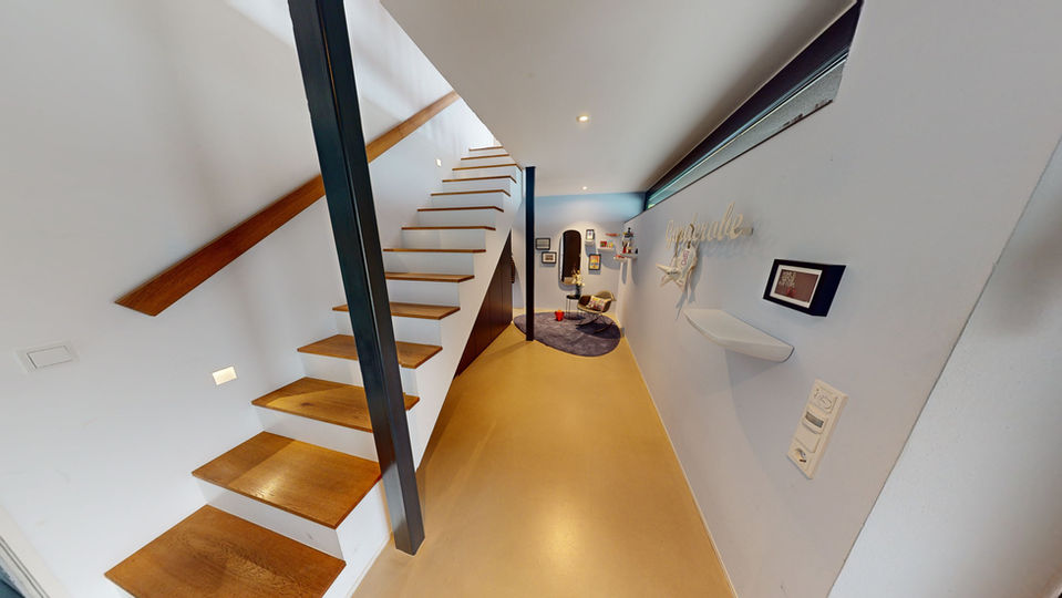 modernes nachhaltiges Architektenhaus Eingang