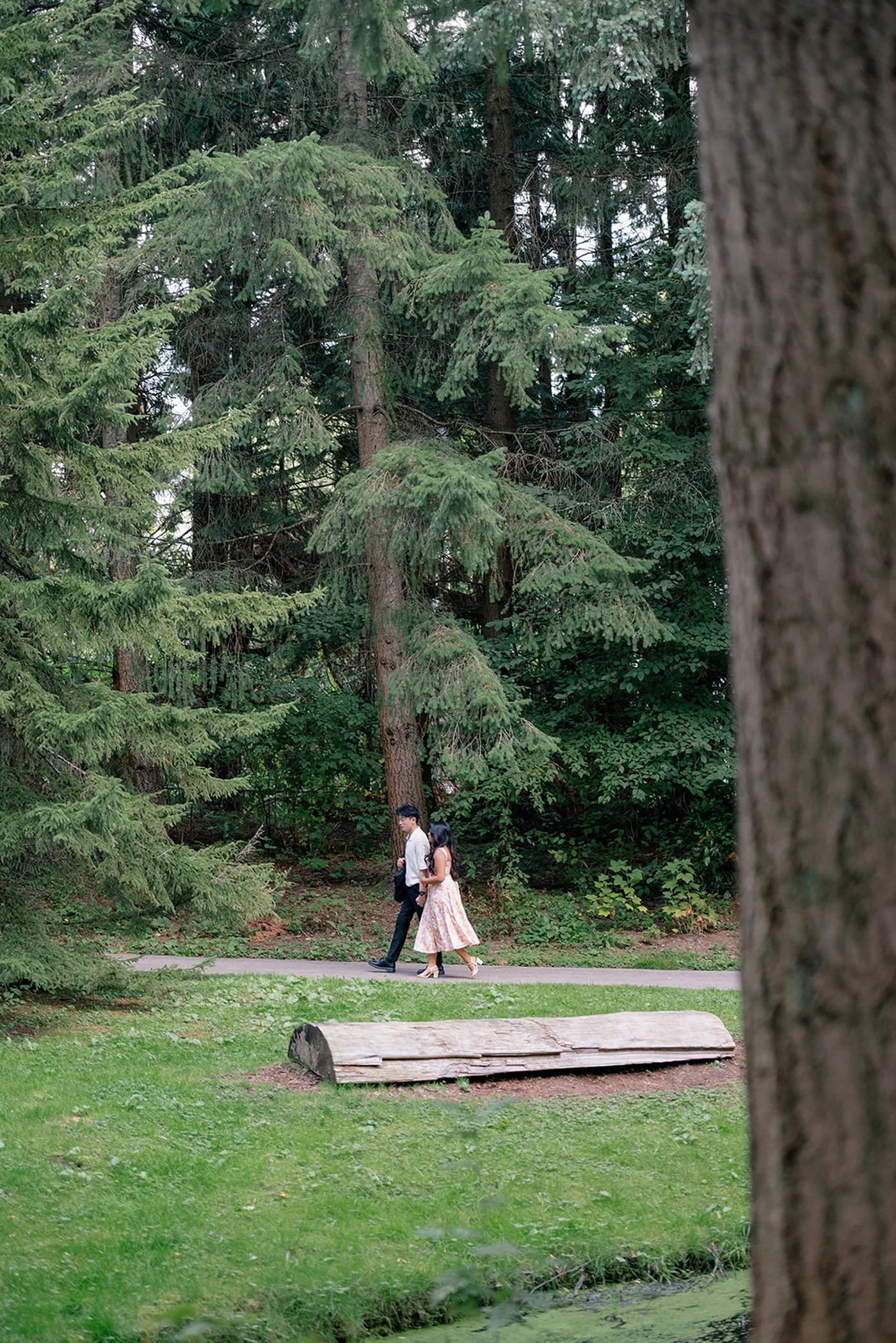 Romantic surprise proposal in VanDusen Garden with lush greenery and blooming flowers as the backdrop