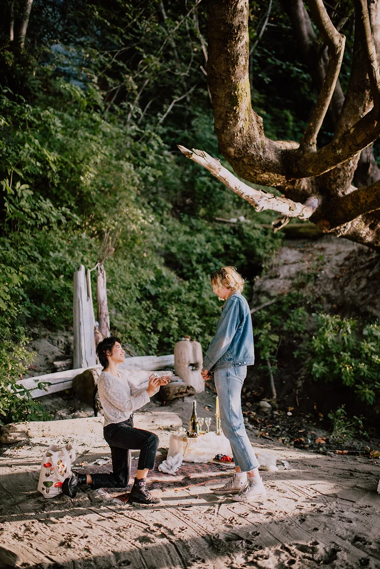 adrienne proposal.webp