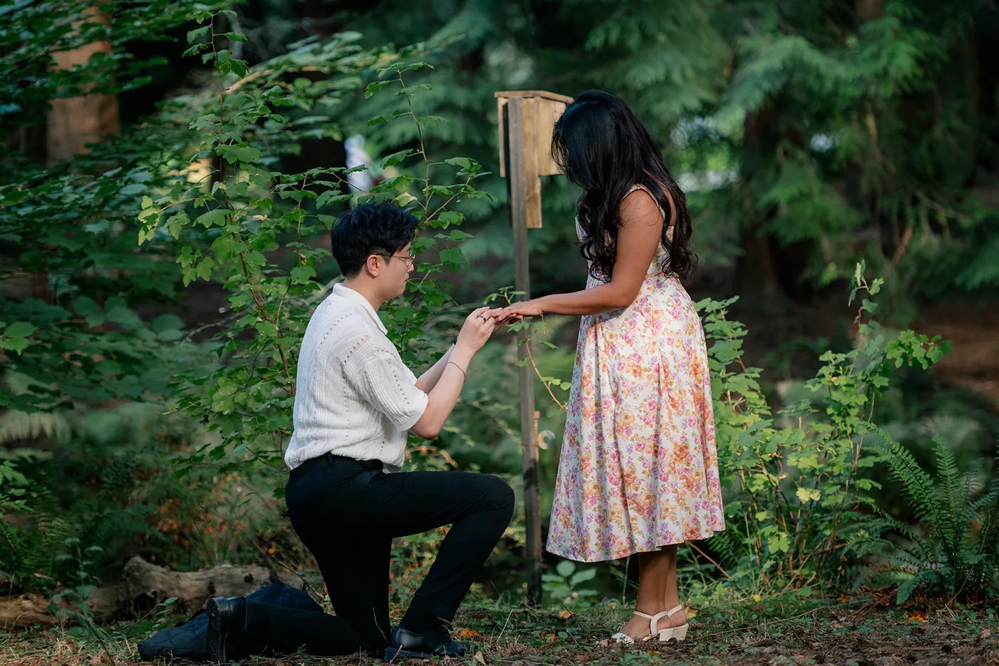 Man kneeling to propose to his partner surrounded by tall green trees in VanDusen Botanical Garden, Vancouver.