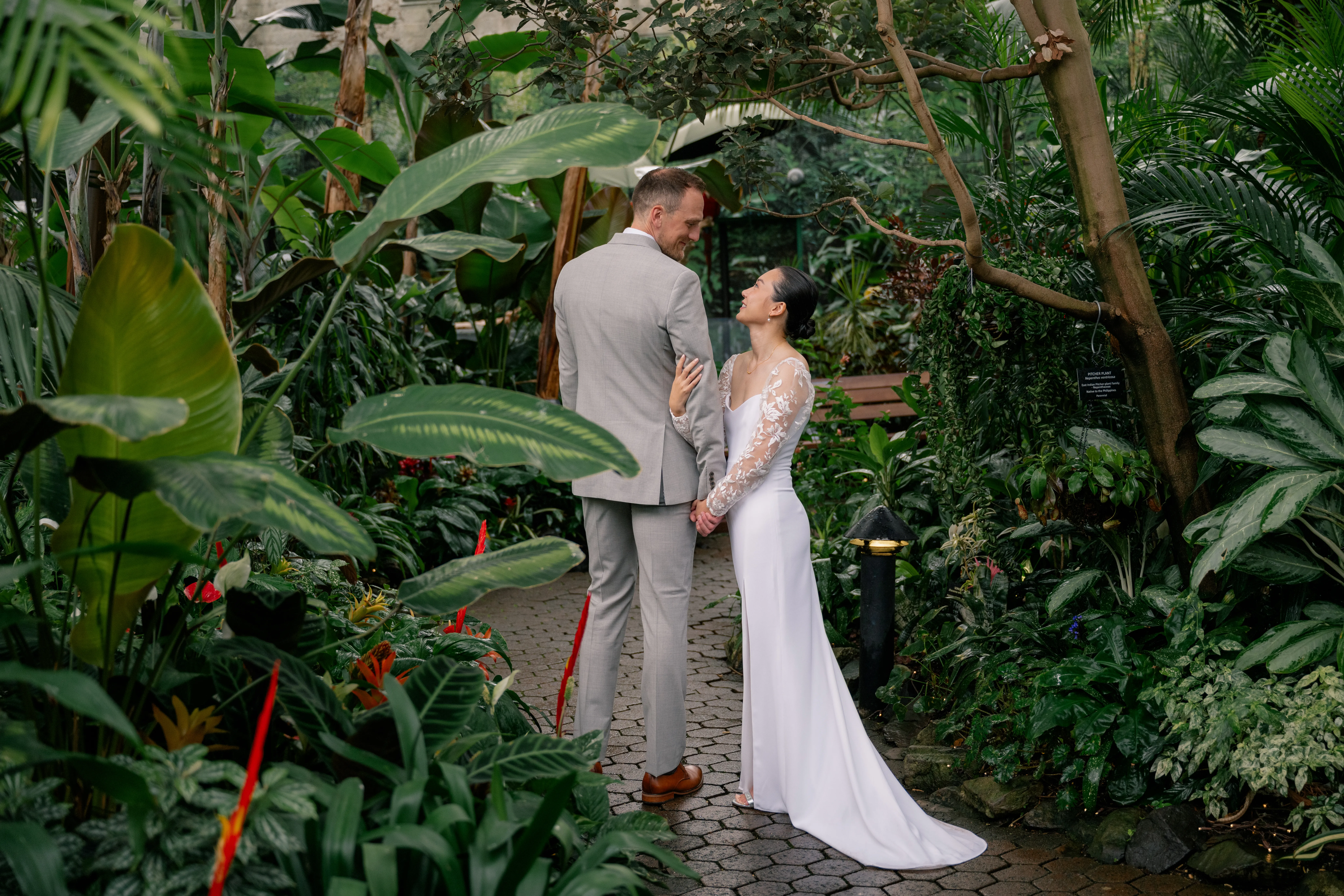 Bride and groom embracing among the tropical plants inside Bloedel Conservatory, surrounded by lush greenery