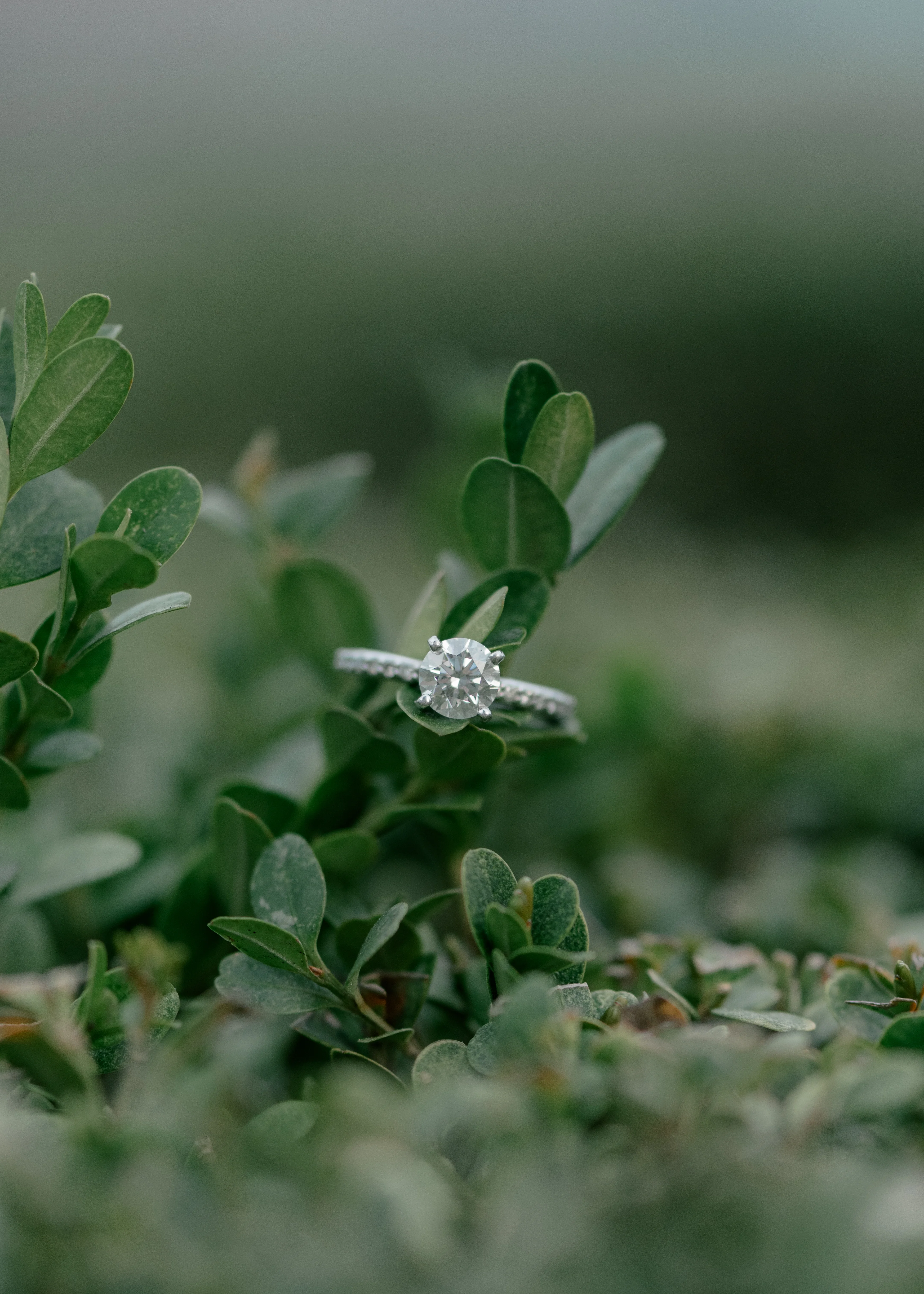 Gastown Engagement Session
