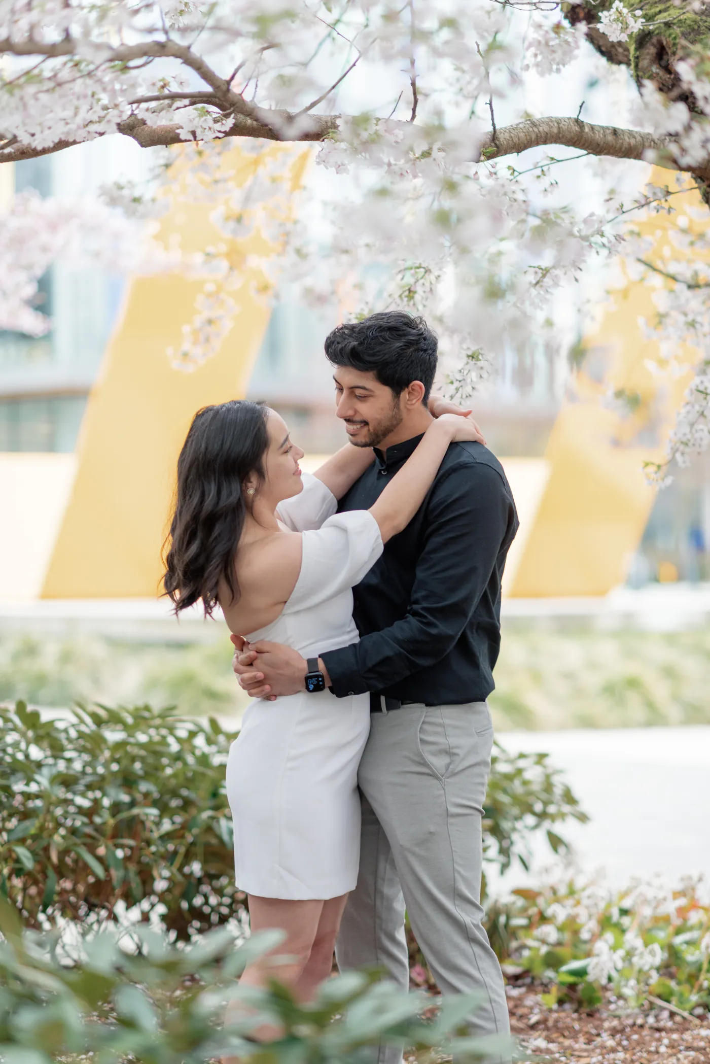 A couple dances under the cherry blossoms, their hands intertwined as they walk through a garden of fallen petals.