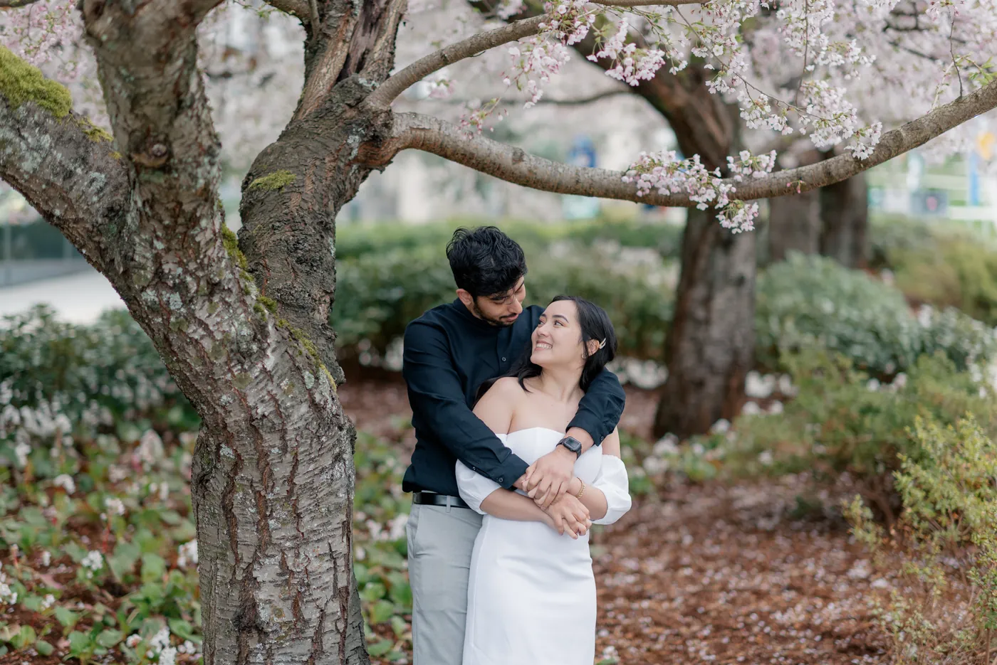 A dreamy moment of love as a couple stands under a cherry blossom tree, holding hands and gazing into each other’s eyes. The soft pink petals frame their embrace.