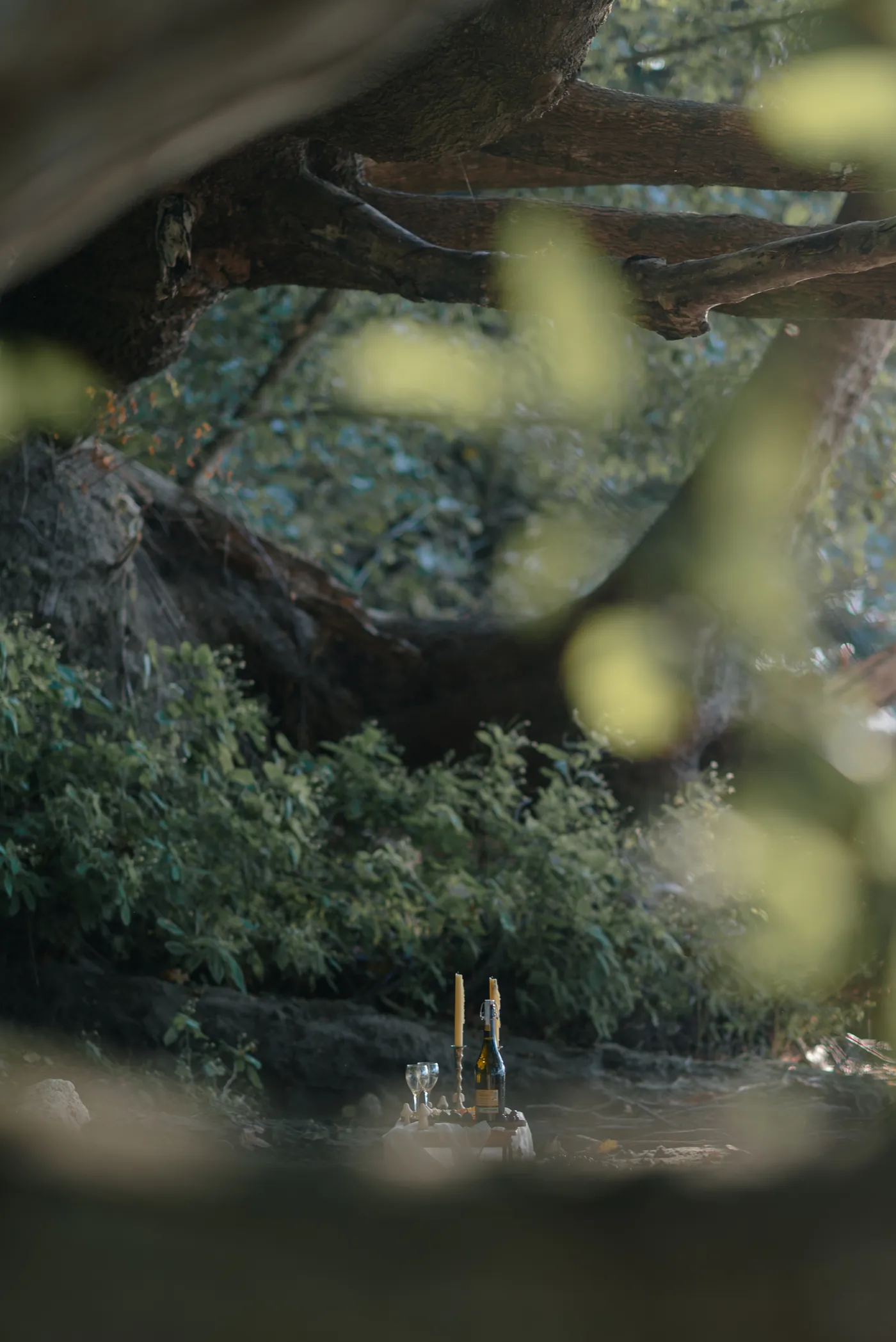 A romantic outdoor picnic proposal in Canada, set in a lush forest with a bottle of champagne and candlelit ambiance. Captured by a Canadian proposal photographer specializing in LGBTQ+ and queer couples.