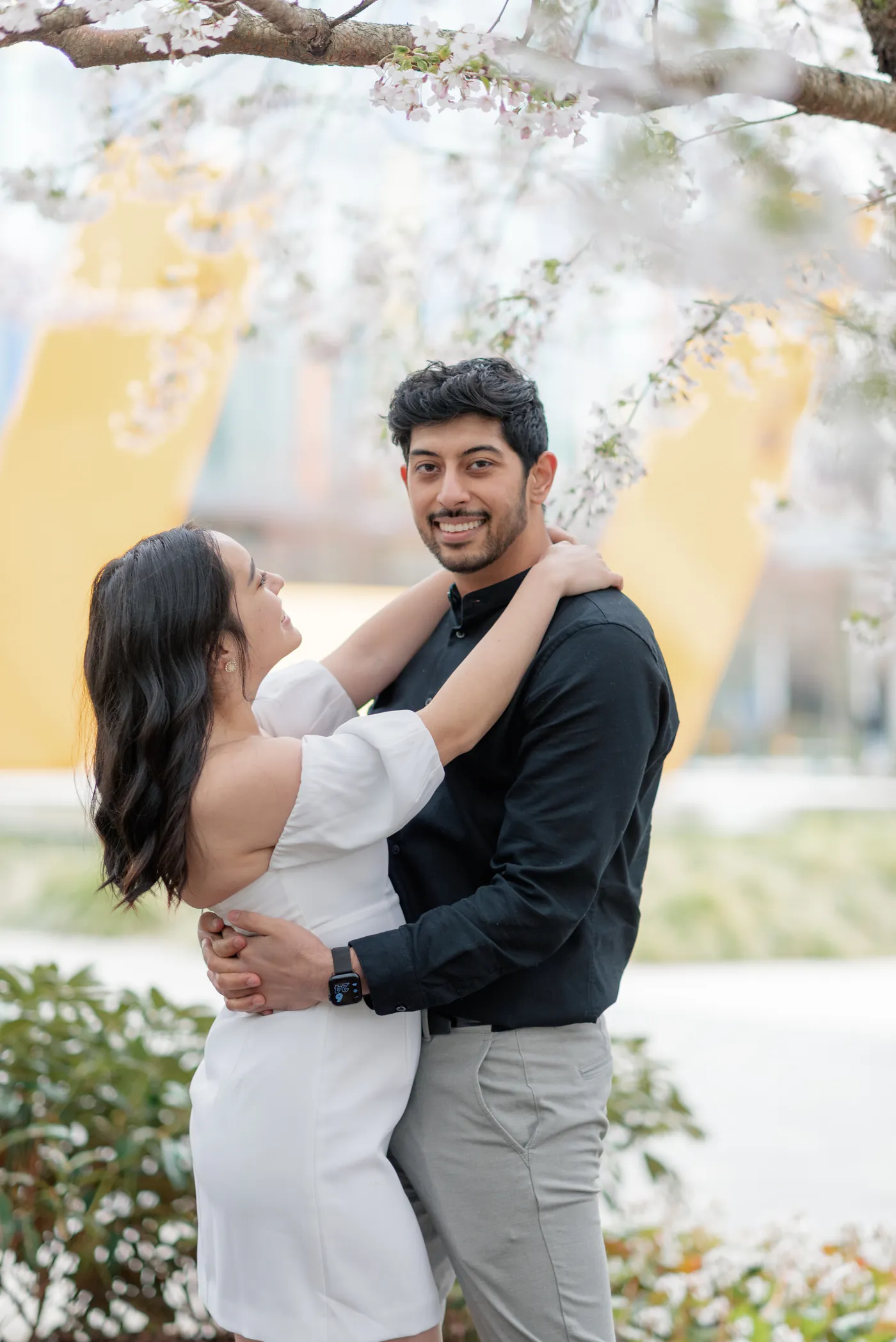 A couple dances under the cherry blossoms, their hands intertwined as they walk through a garden of fallen petals.