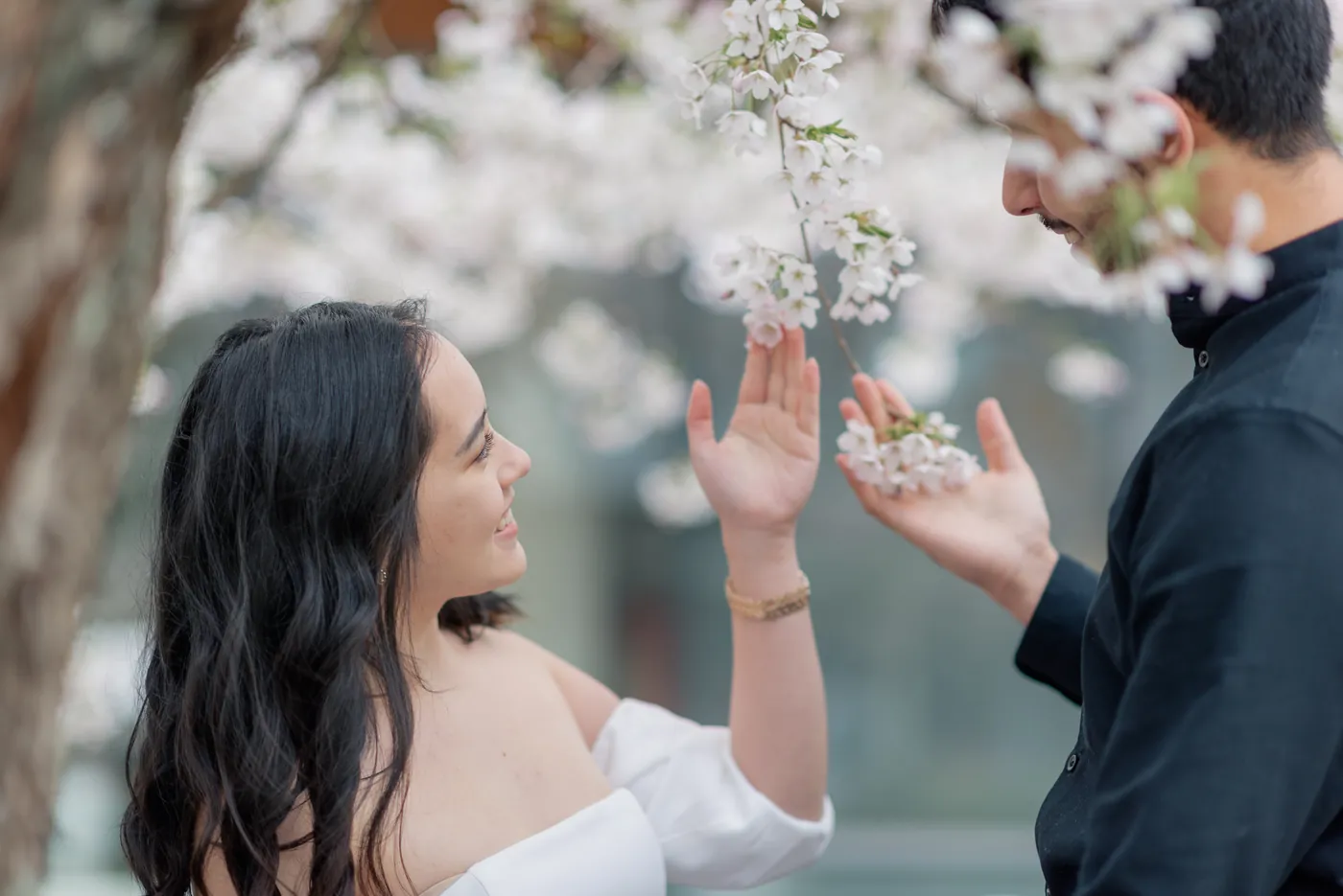 A dreamy moment of love as a couple stands under a cherry blossom tree, holding hands and gazing into each other’s eyes. The soft pink petals frame their embrace.
