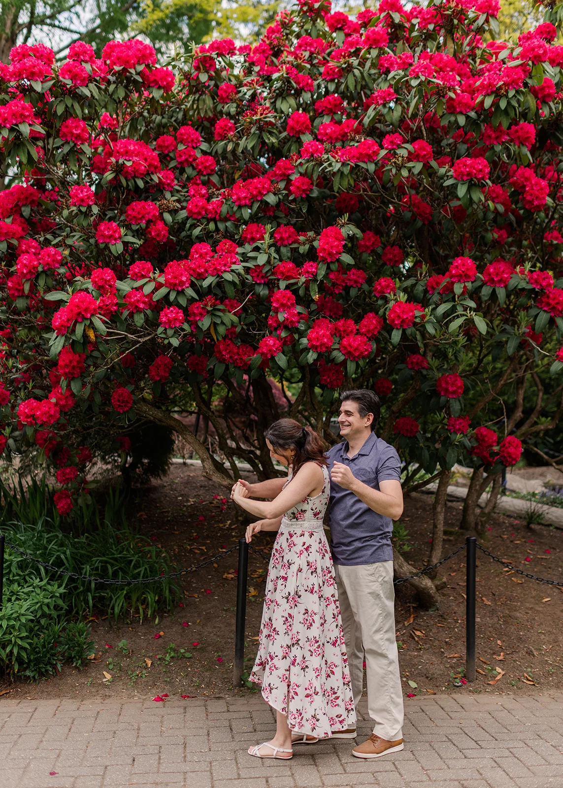 sendall garden engagement photos
