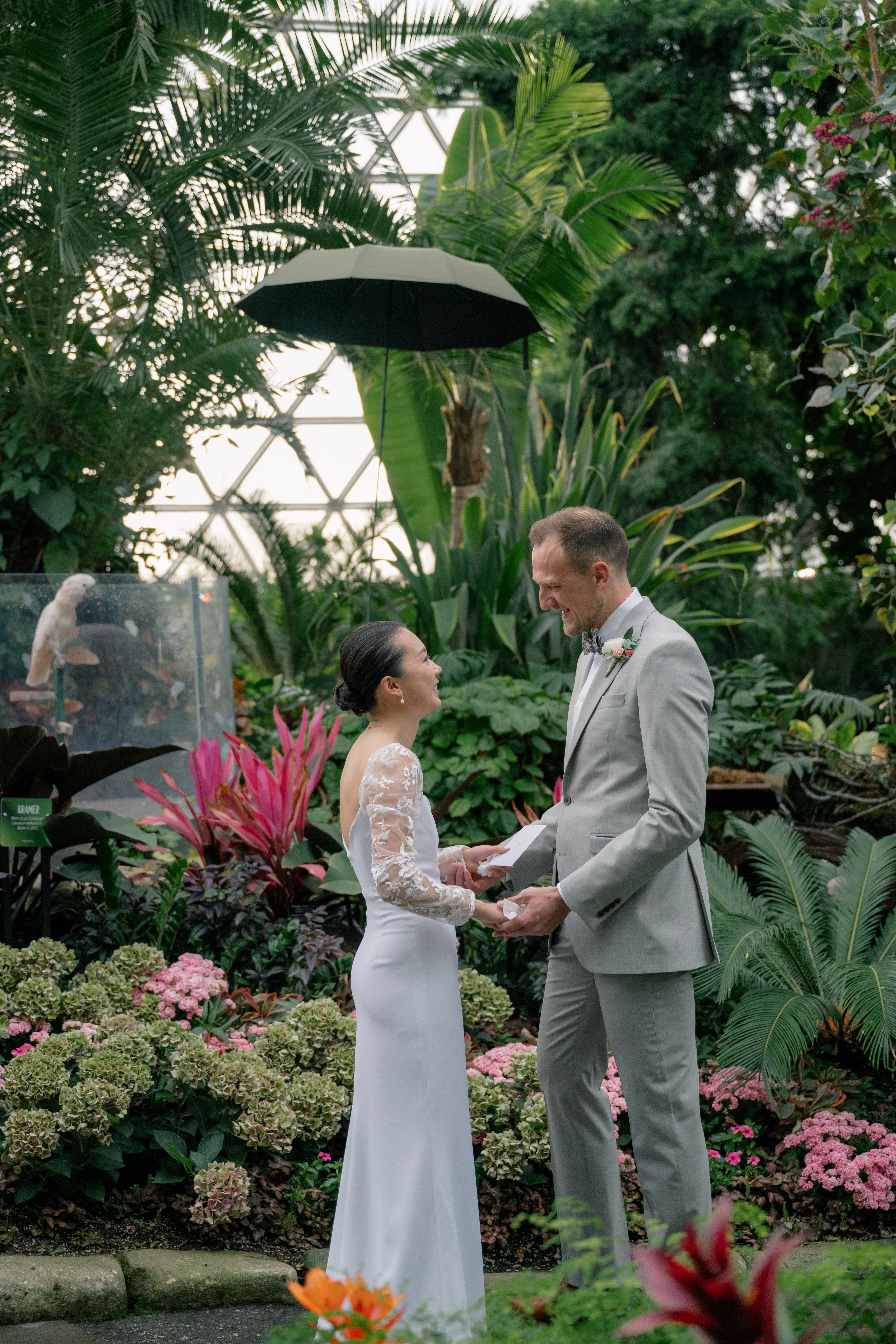 Bride and groom sharing an emotional first look in the tropical setting of Bloedel Conservatory, surrounded by vibrant greenery