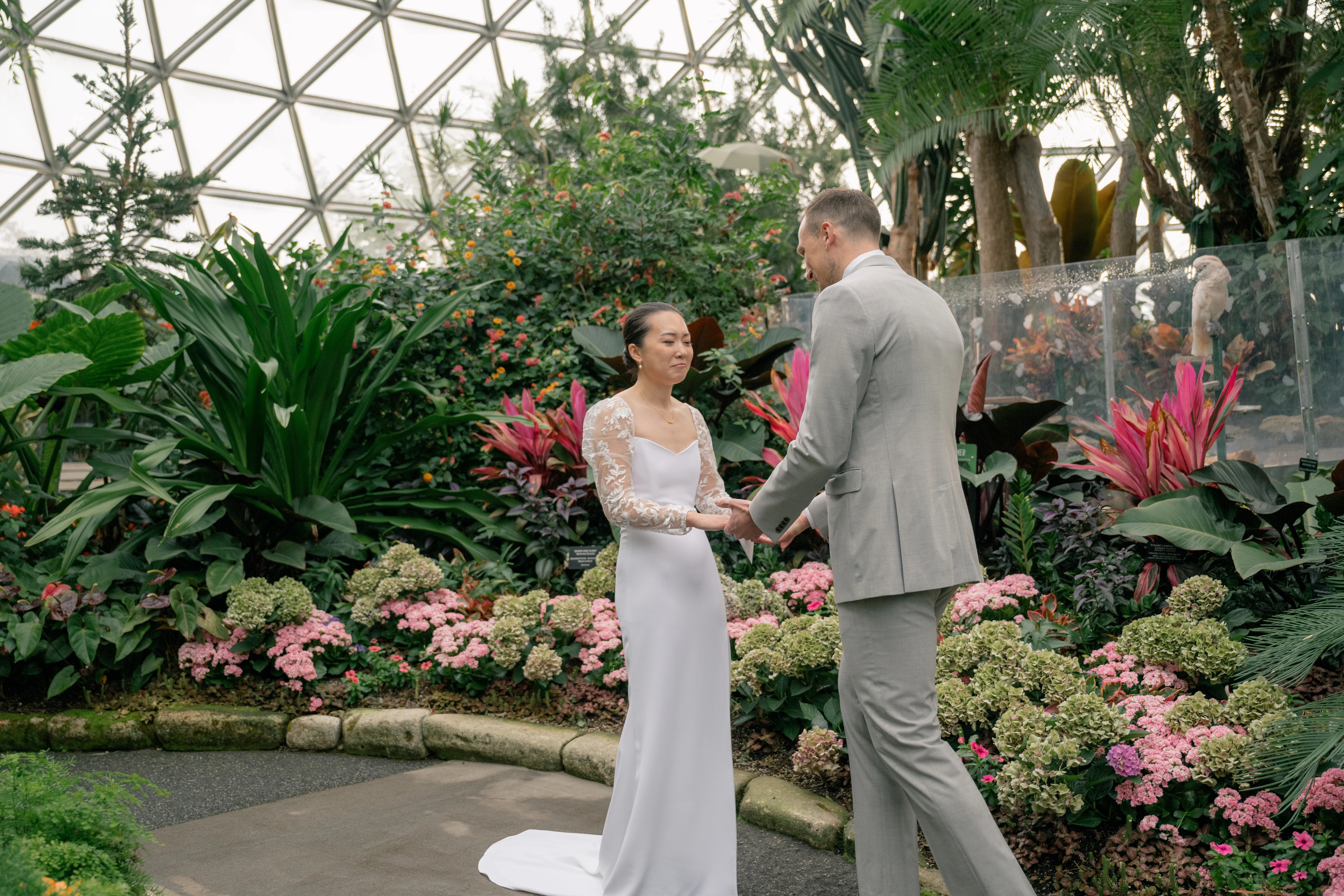 Bride and groom sharing an emotional first look in the tropical setting of Bloedel Conservatory, surrounded by vibrant greenery