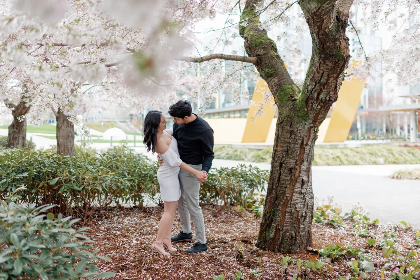 A dreamy moment of love as a couple stands under a cherry blossom tree, holding hands and gazing into each other’s eyes. The soft pink petals frame their embrace.