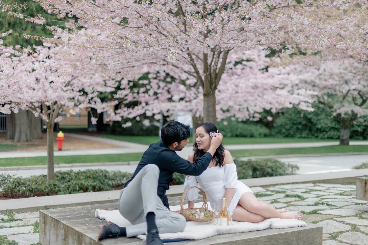 A soft and intimate picnic scene under the cherry blossoms. The couple enjoys each other's presence while soaking in the beauty of the blooming trees.