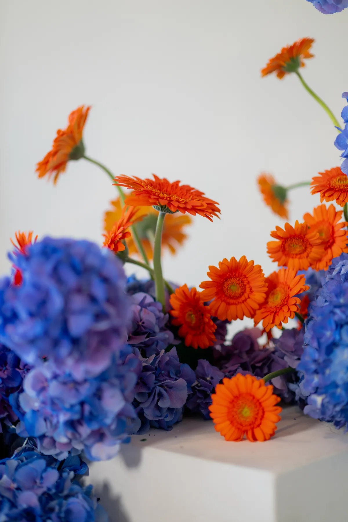 Suspended orange flowers and purple hydrangeas on modern white pedestals in a minimalist industrial venue, showcasing bold wedding decor.