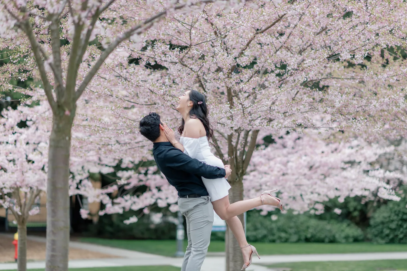A playful moment as a man lifts his partner in the air beneath blooming cherry trees. She laughs with joy while holding onto his shoulders.