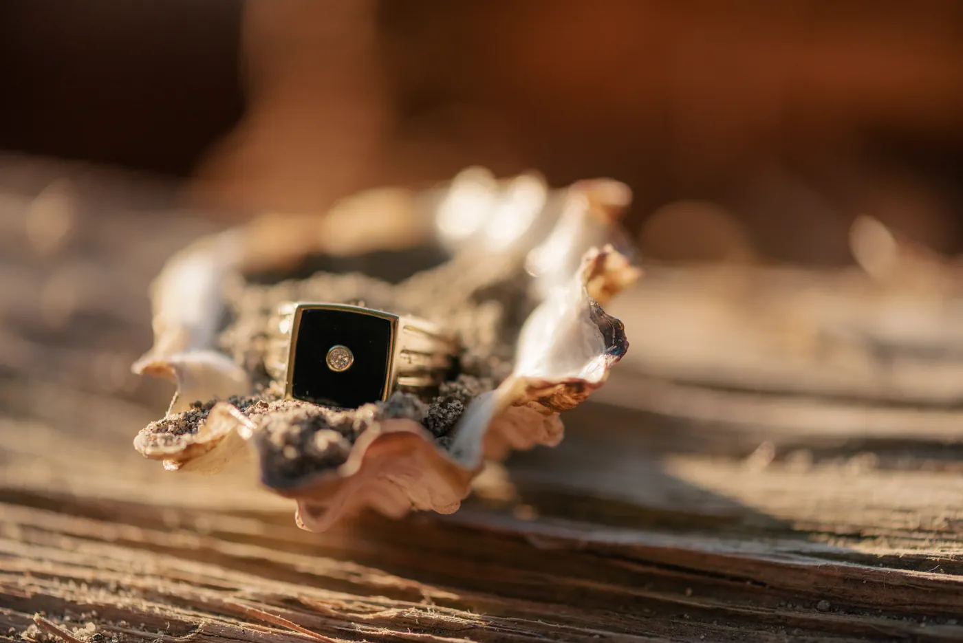 A unique gold and black engagement ring with a diamond centerpiece, placed on a seashell with sand. A modern and stylish ring choice for a queer proposal in Canada, captured in warm golden light.