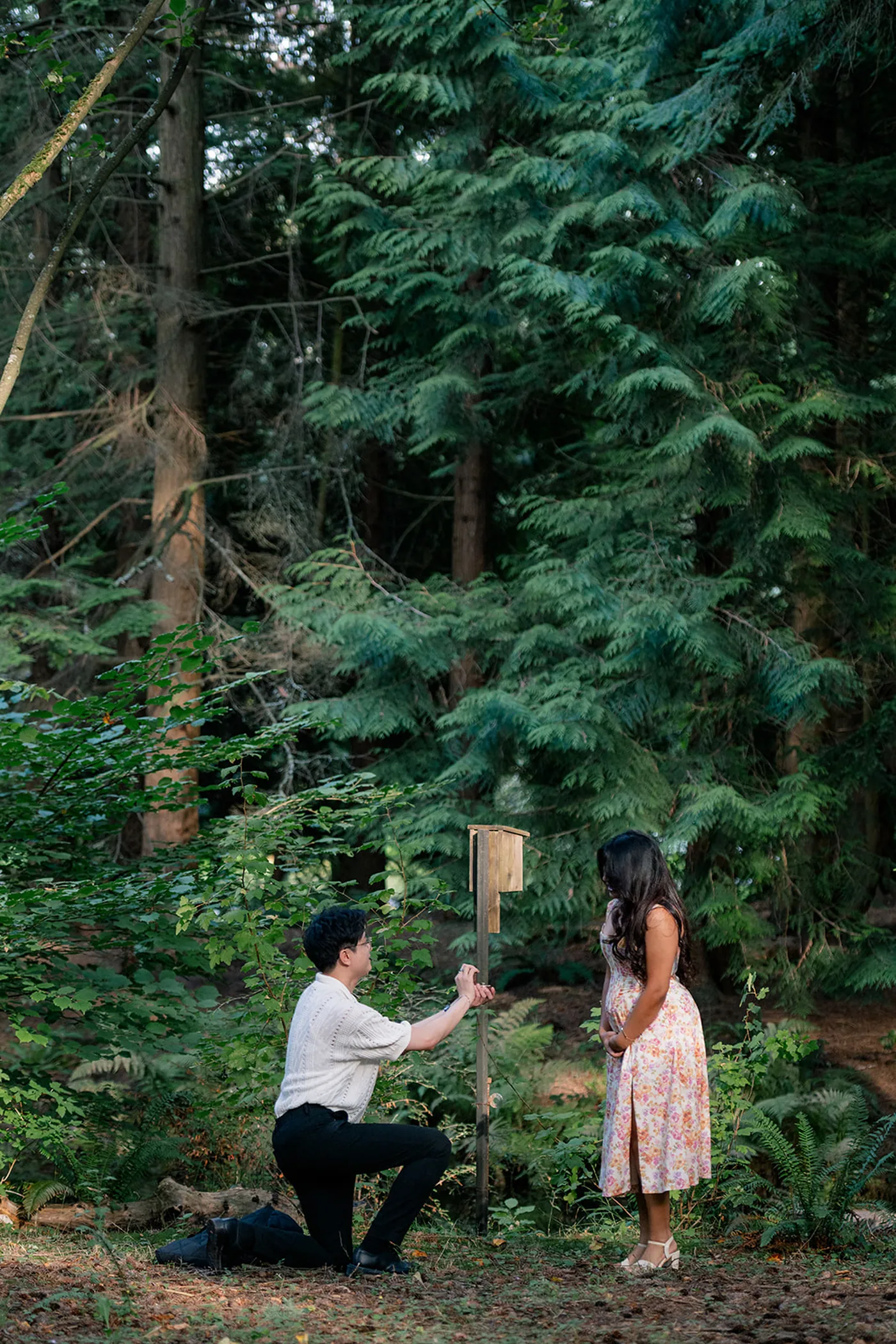 Man kneeling to propose to his partner surrounded by tall green trees in VanDusen Botanical Garden, Vancouver.