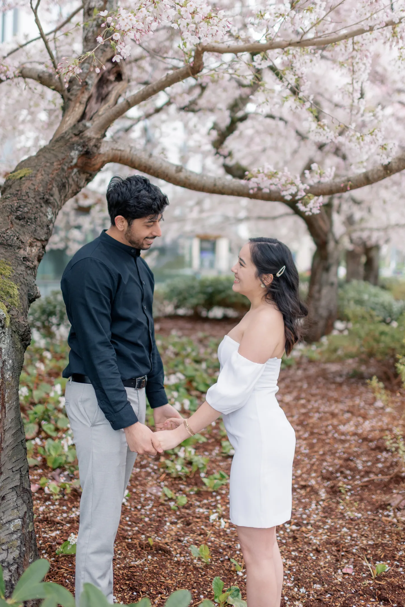 A dreamy moment of love as a couple stands under a cherry blossom tree, holding hands and gazing into each other’s eyes. The soft pink petals frame their embrace.