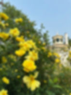 History Happy Hour: Garden Party
