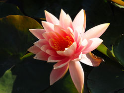 P9300285