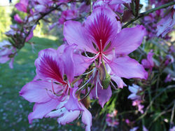 P9300276