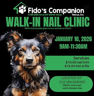 Orange Modern Pet Grooming Service Instagram Post.png