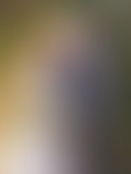 B + M / Livermore, CA