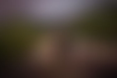 S + C / Clos LaChance Winery - San Martin, CA