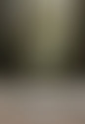 S + J / Mill Valley, CA