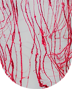 Screenshot (310).png
