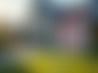 Mastering Property Buying and Selling Strategies