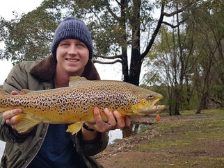 The Trout Experiment