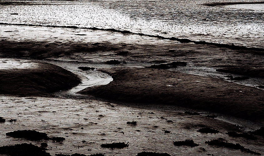 Bildschirmfoto 2020-07-18 um 10.23.02.png