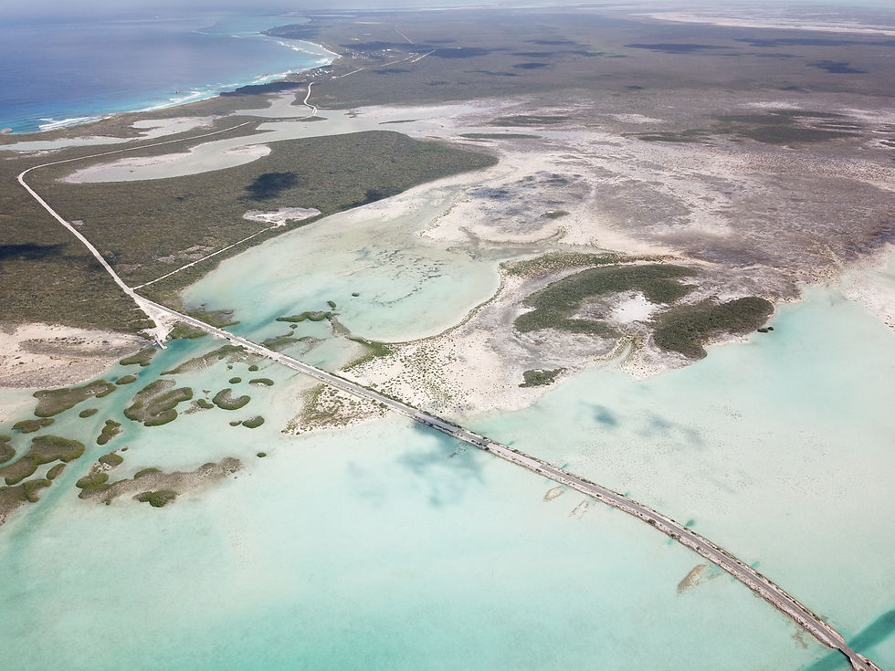 DJI_0044.JPG