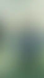 Reflections on Sobriety