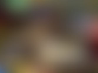 Comiat d’aquest curs!