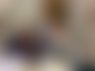 DIARI ARA I ESDEVENIMENTS DESEMBRE