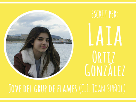 El gran cap de setmana de Vèrtex!