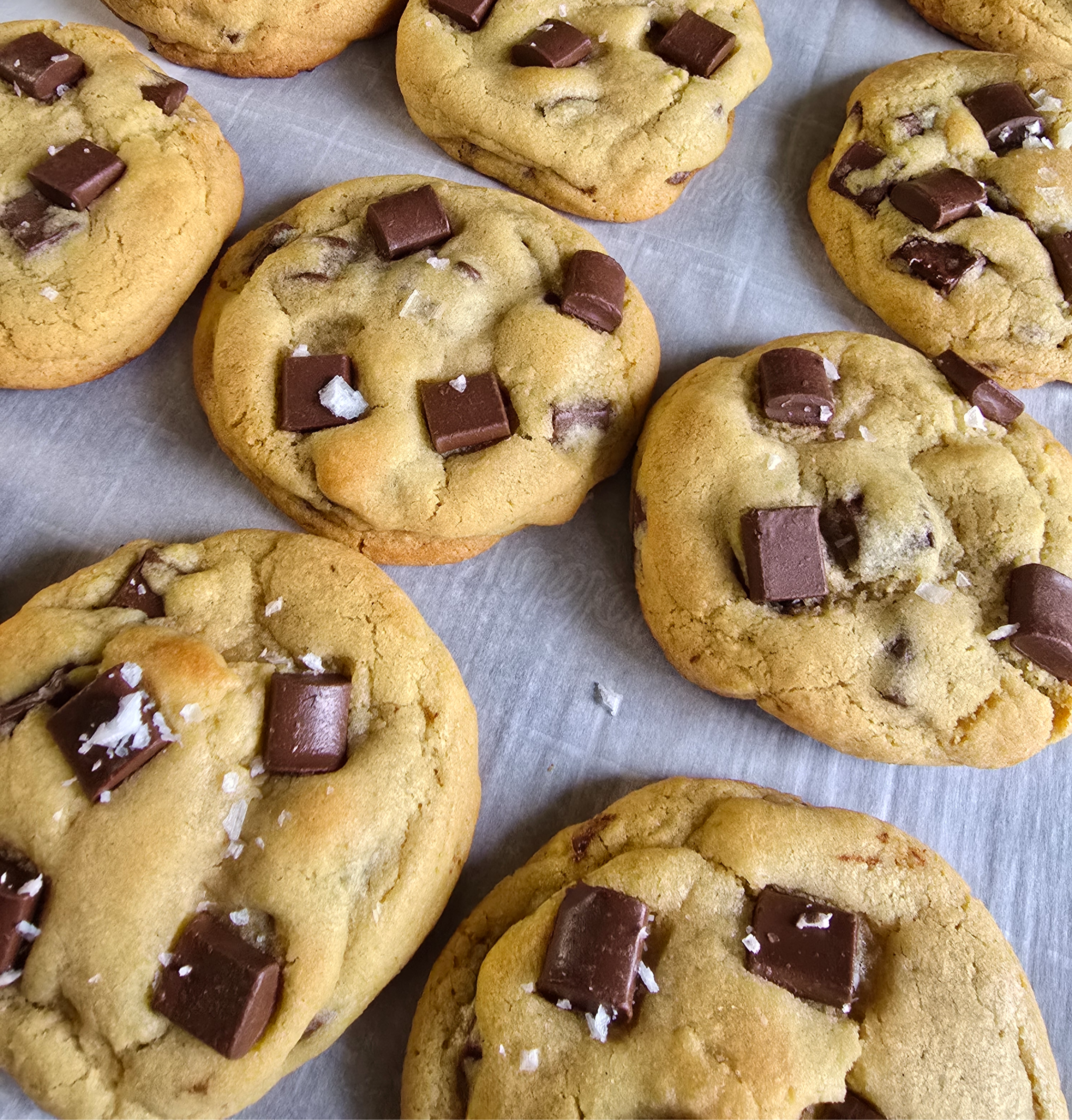 Chocolate Chip Cookie (6-Pack)