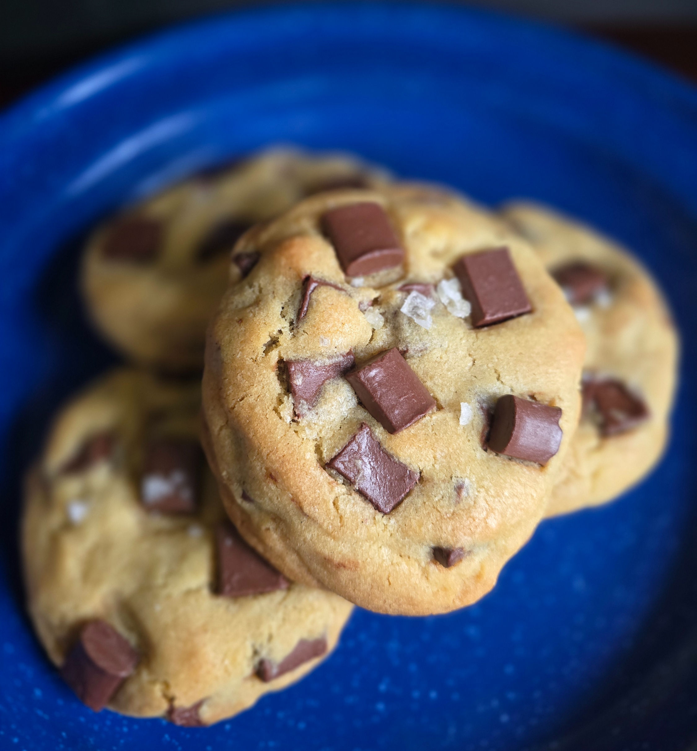 Chocolate Chip Cookie