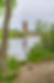 Area Attractions: Things to do and see in Manistique Michigan