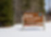 Area Attractions: Things to do and see in Manistique Michigan