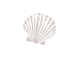 Untitled design_edited.png
