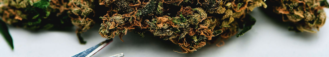 cannabis-bud.jpg