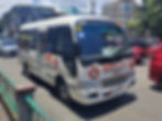 Bacolod City Public Vehicle Utility Modernization Program