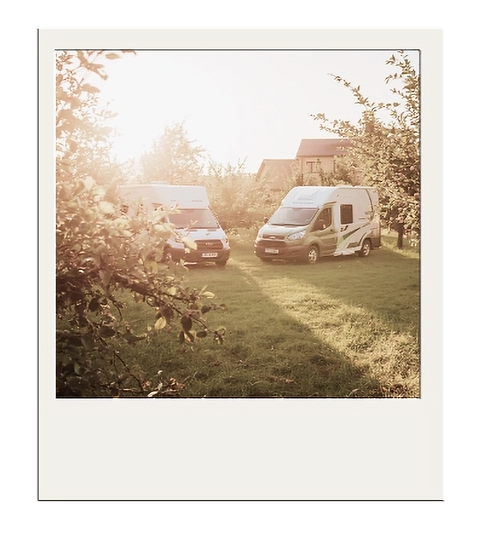 Alfima Bilder Landingpages (3)_edited.png