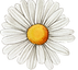 weiße Blume