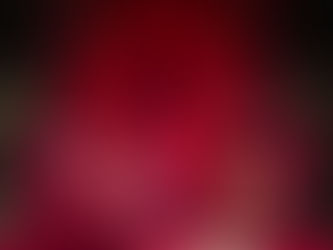 My Presidential Visit