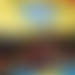 Hibiscus Half Marathon 2017