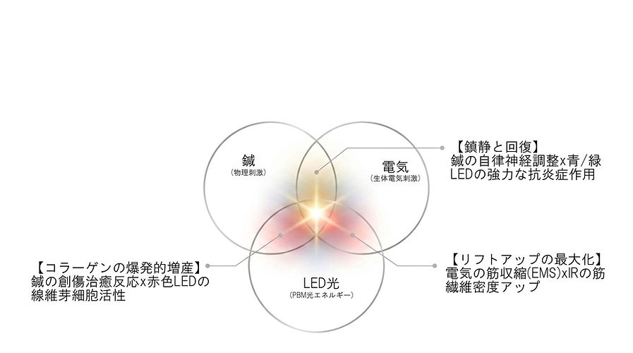 図6.jpg